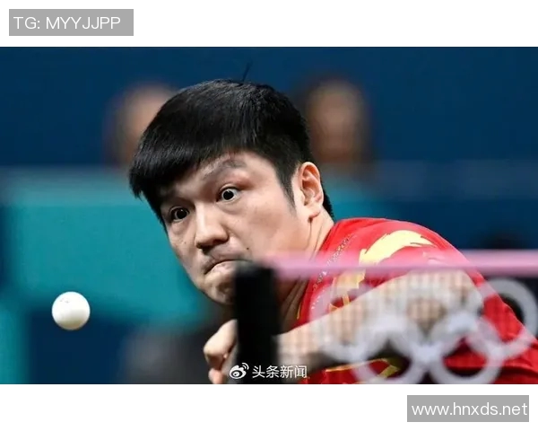 中国乒乓球运动员奋勇拼搏成就辉煌历史背后不为人知的艰辛与坚持